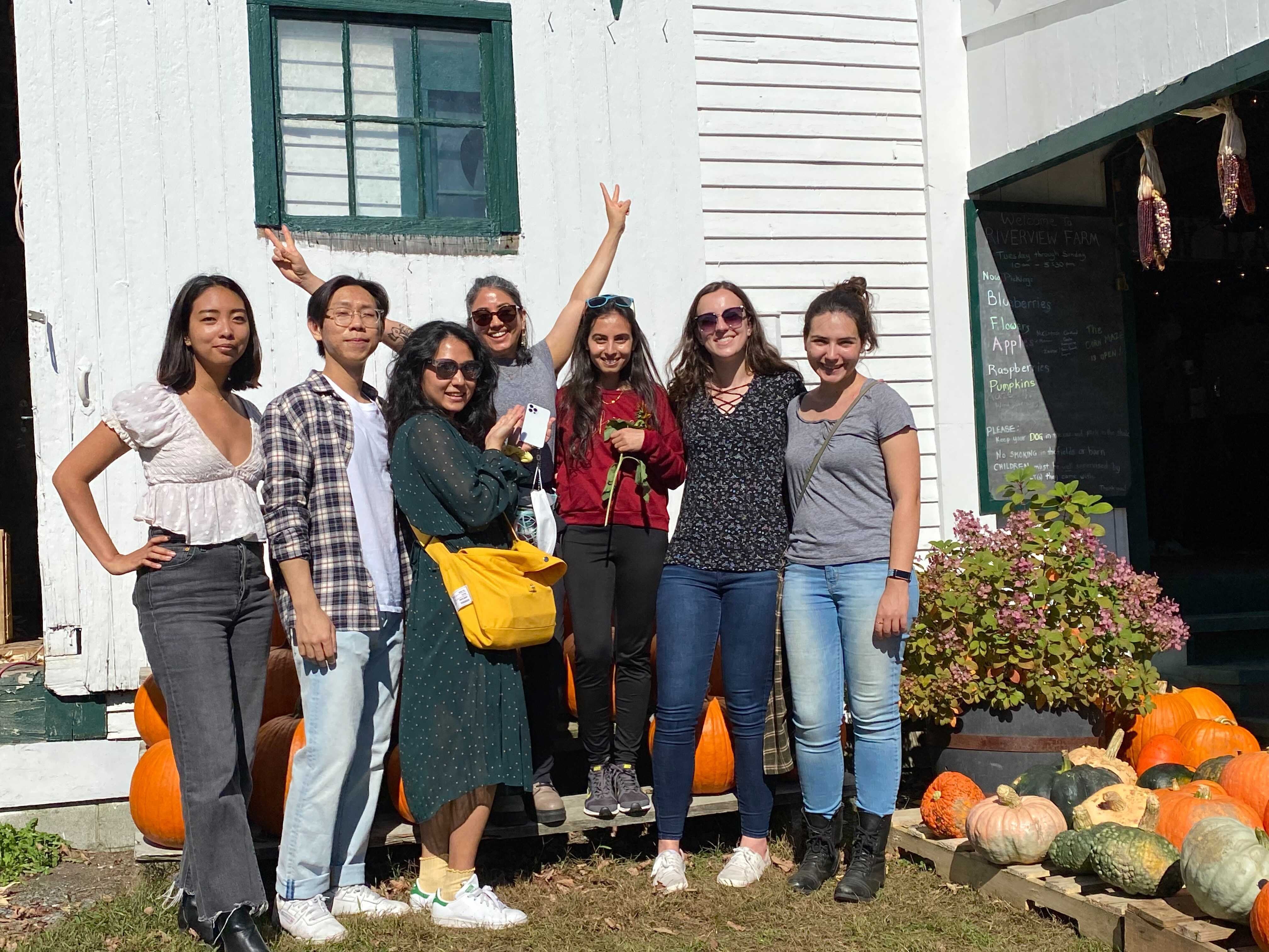 apple picking