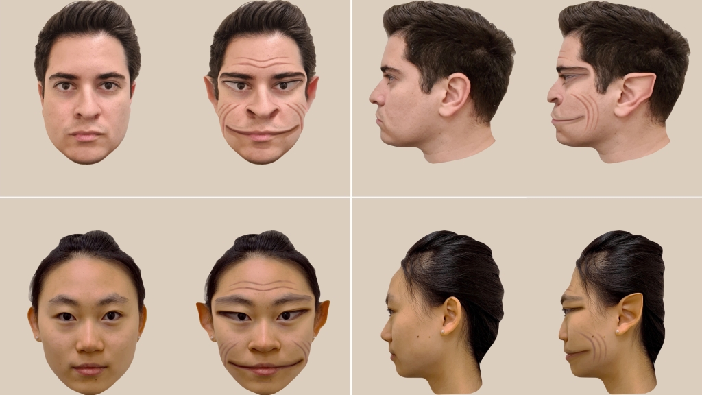 Side-by-sides of normal faces and their distortions